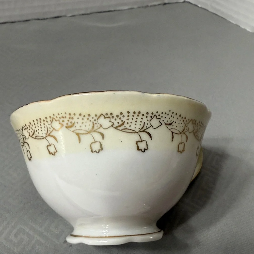 Vintage Handpainted Floral Teacup & Saucer  Porcelain Gold Detail Occupied Japan